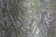 Kilmonivaig fibreglass roof work